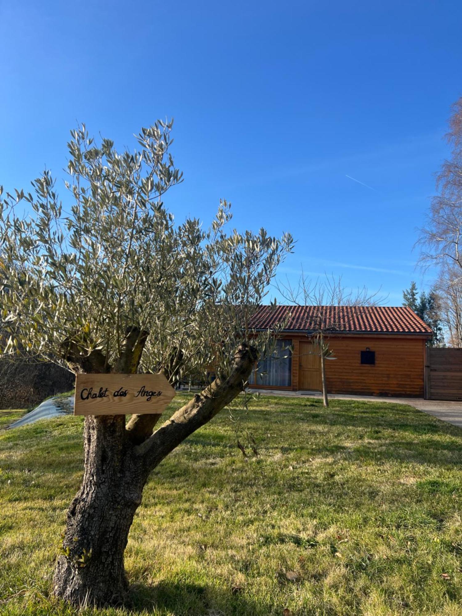 Chalet Des Anges Youx 外观 照片